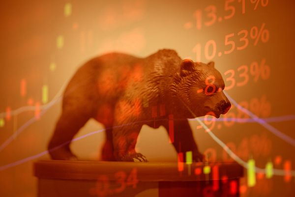 A Beginner's How-To Guide For Surviving A Crypto Bear Market